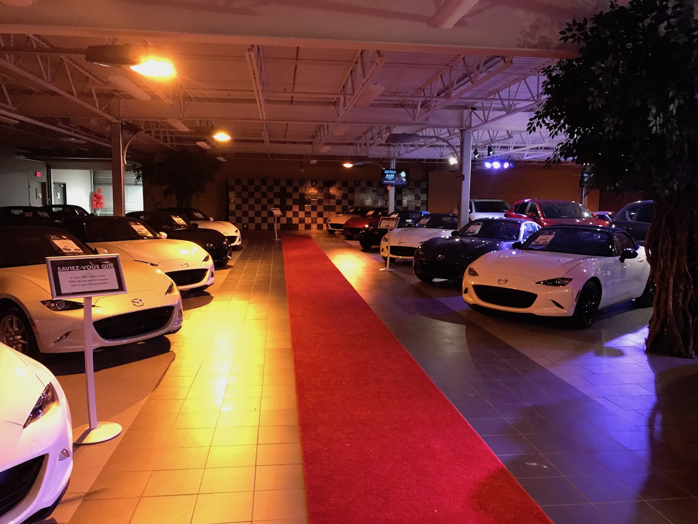 ALBI le Géant fête en grand ! AutoMedia