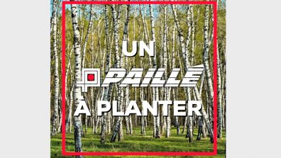 Paillé1